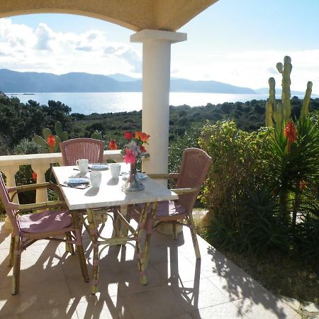Villa Liamone Studio Fuer 3 Personen , 400 M Vom Strand, Pool, Klimaanlage Сагон Экстерьер фото